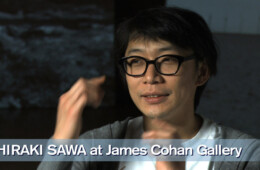 HIRAKI SAWA at James Cohan Gallery