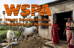 World Society for the Protection of Animals