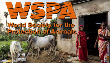 World Society for the Protection of Animals